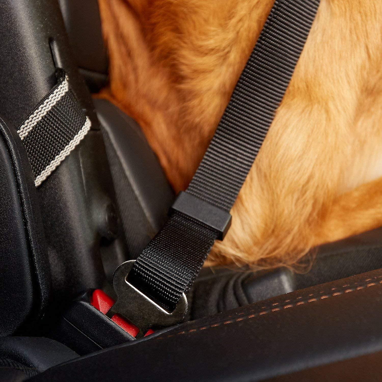 SafetyBelt™ | Sicherheitsgurt Für Hundeautos