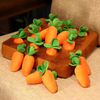 Laden Sie das Bild in den Galerie-Viewer, Karotten-Plüsch-Schnüffelmatte™