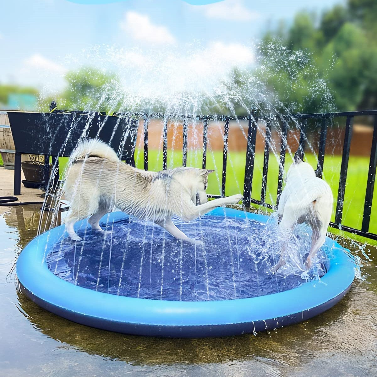 Wassersprinkler-Pad Für Hunde™