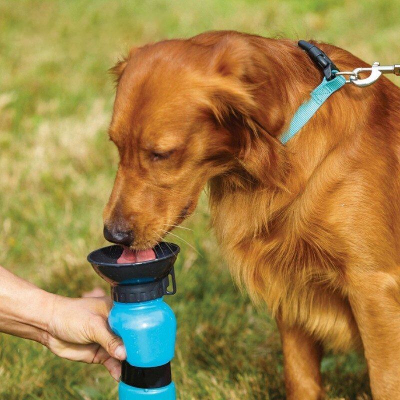 PetBottle™ | Wasserflasche Für Haustiere